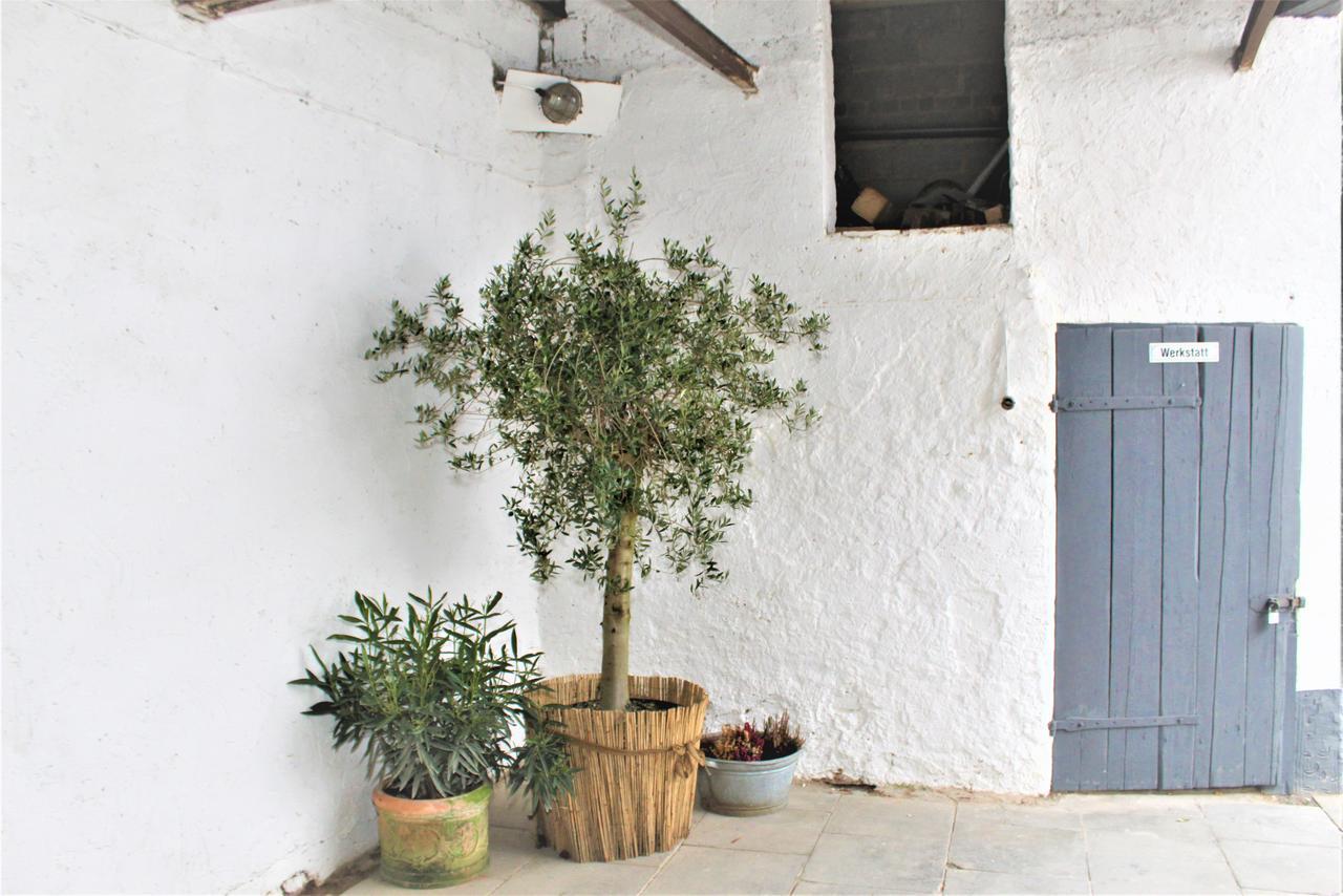 Wunderschoene Ferienwohnung Bruchhausen  外观 照片
